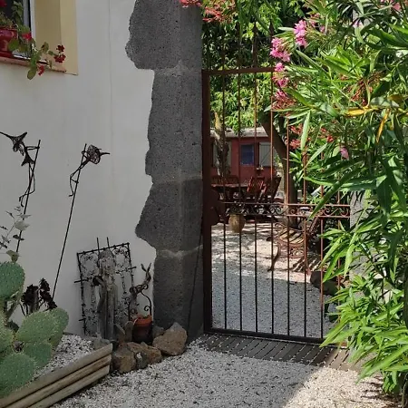 Un Joli Jardin Mediterraneen *